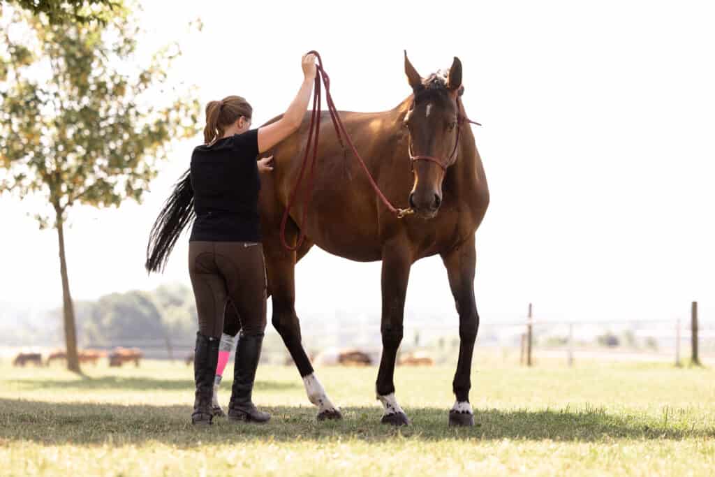 Horsemanship Trainer